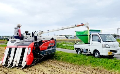 田んぼでコンバインが収穫した米を軽トラックに積み込んでいる農作業風景